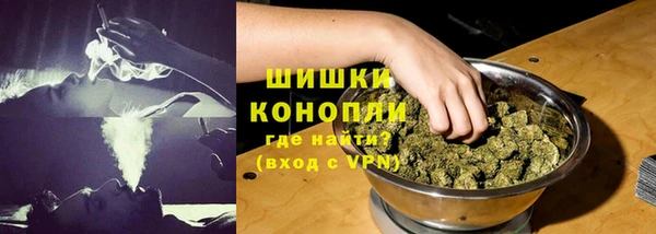 PSILOCYBIN Надым