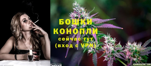 PSILOCYBIN Надым