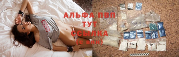PSILOCYBIN Надым
