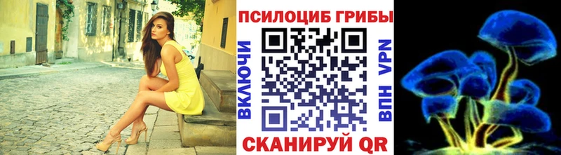 цена Благовещенск нарко площадка официальный сайт Галлюциногенные грибы MAGIC MUSHROOMS