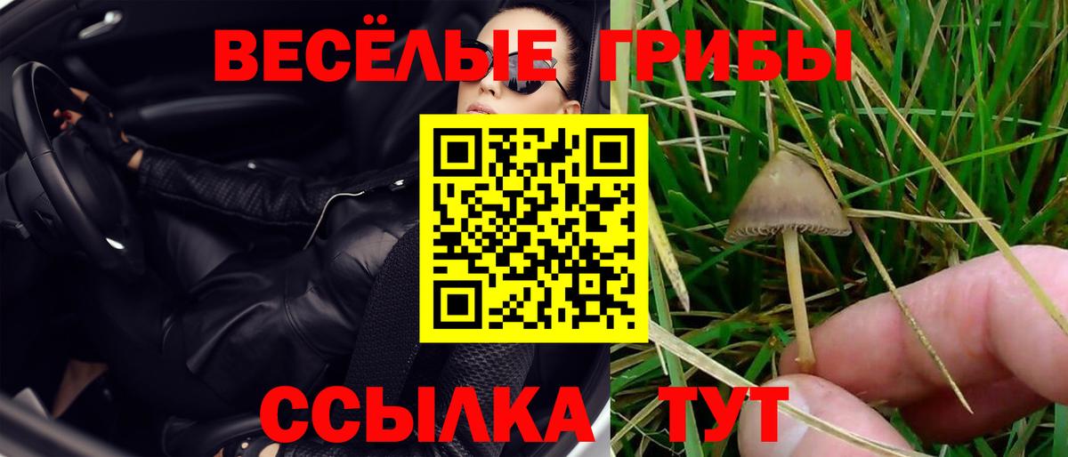 Галлюциногенные грибы мицелий  продажа наркотиков  Благовещенск  Вход с VPN 