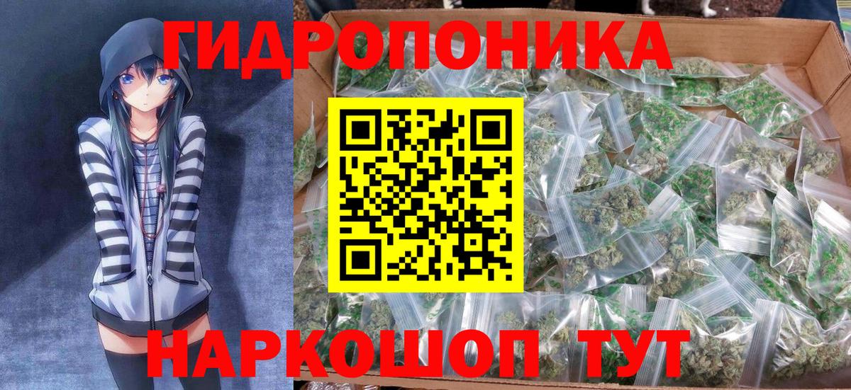Бошки марихуана конопля Благовещенск